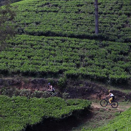 Heritance Tea Factory Nuwara Eliya Zewnętrze zdjęcie