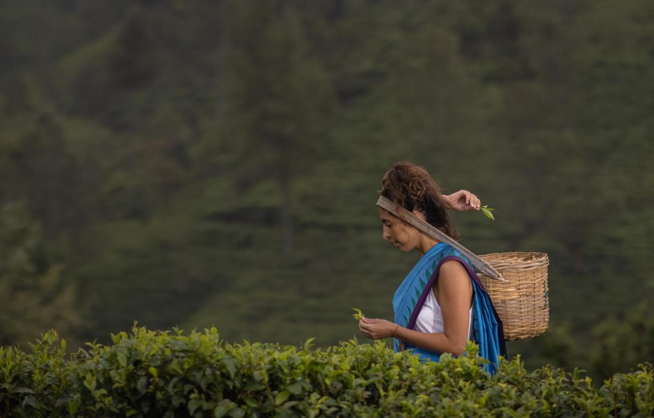 Heritance Tea Factory Nuwara Eliya Zewnętrze zdjęcie