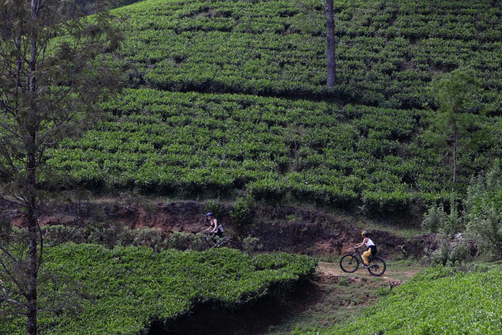 Heritance Tea Factory Nuwara Eliya Zewnętrze zdjęcie